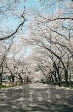 果冻传媒张芸熙前女友-媒体风波，果冻传媒与张芸熙的往日情深