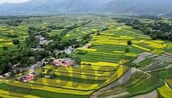 天堂一区二区在线-探索虚拟世界的奇妙之旅，天堂一区二区的在线体验